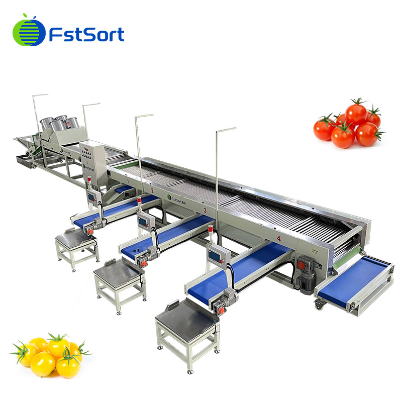FruitprocessI's tweet photo. 🔥🔥🔥Cherry tomato processing machine

Sorting handle every cherry tomato with the utmost gentleness, without causing any damage to the quality of the skin or the pulp.🍅
Get price service@fruitprocess.com
Learn more: https://t.co/84HhXQlkc0

#fstsort #sortingcherrytomato https://t.co/EeygpoPnTw