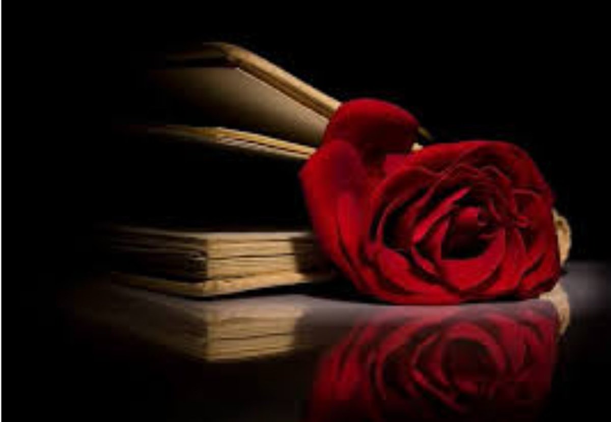 PUTINwordsAR's tweet photo. Tune jab phool, kitabon se nikaale honge

Dene waala bhi tujhe yaad toh aaya hoga

#khalilUremanQmar 
#Urdupoetry https://t.co/4KQNF88YQN