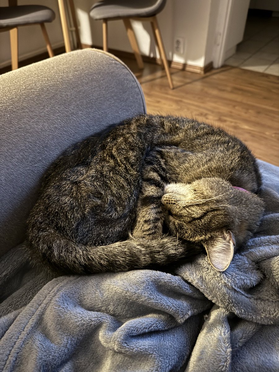 jv (@janvoj) on Twitter photo 