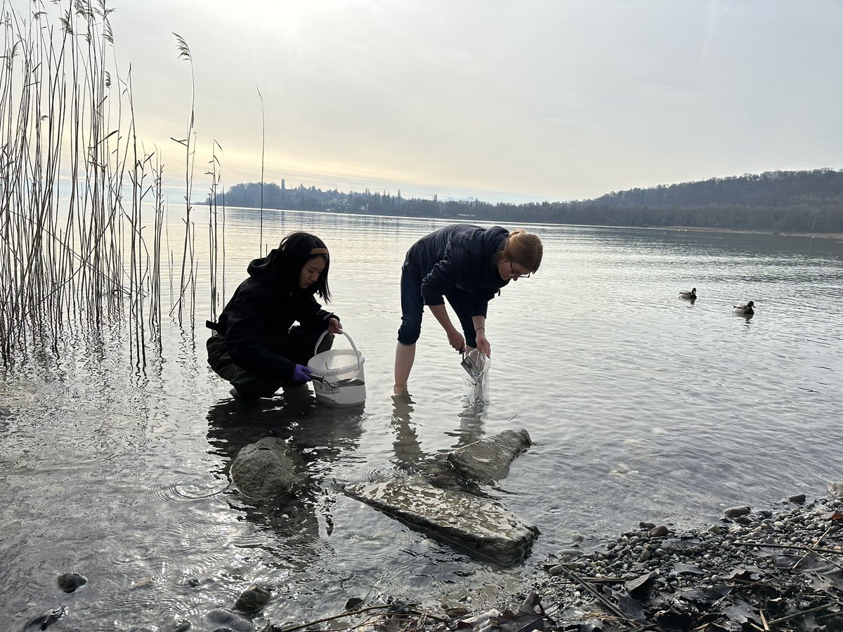 Tuebingen Geomicrobiology tweet media