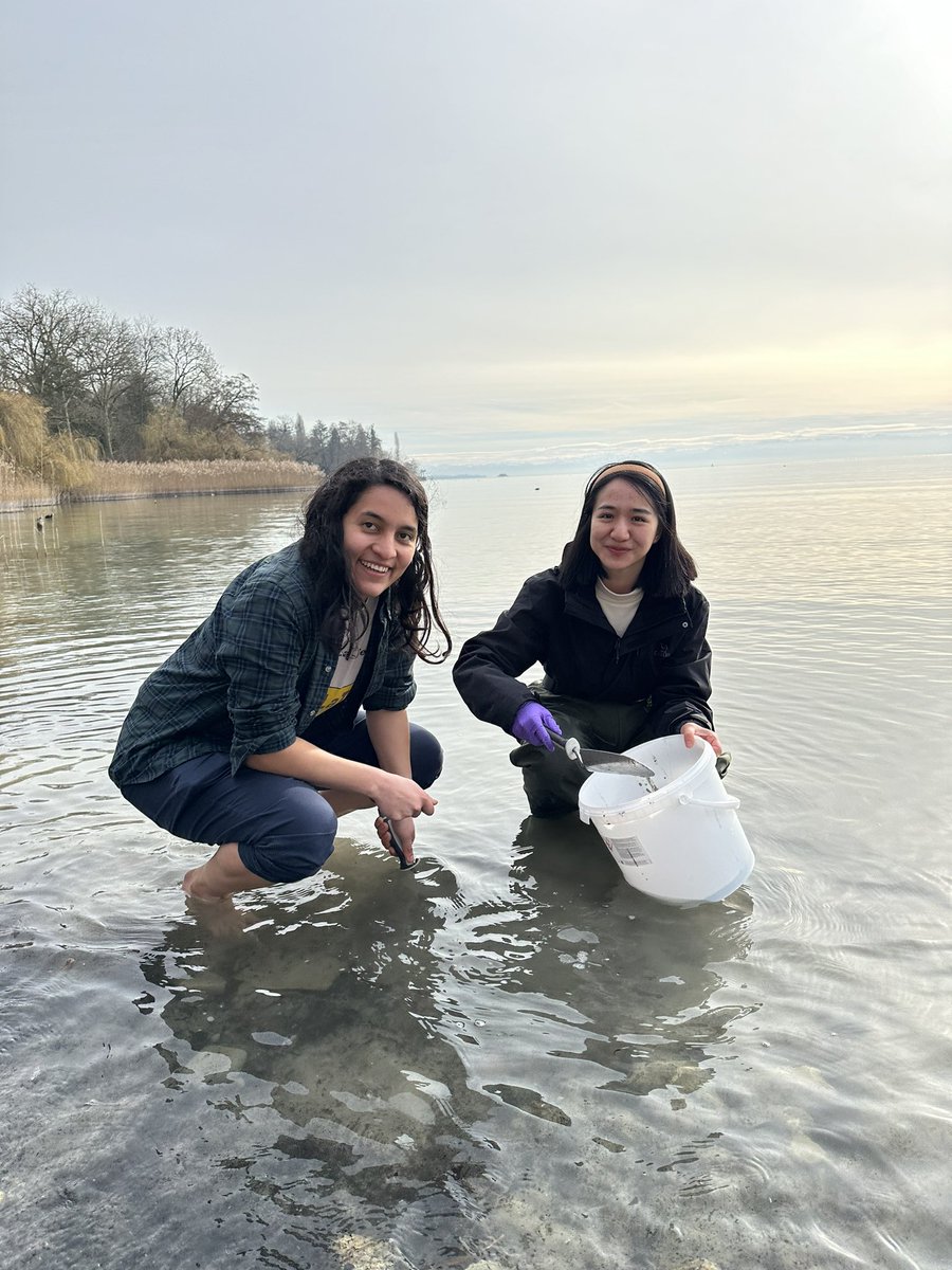 Tuebingen Geomicrobiology tweet media