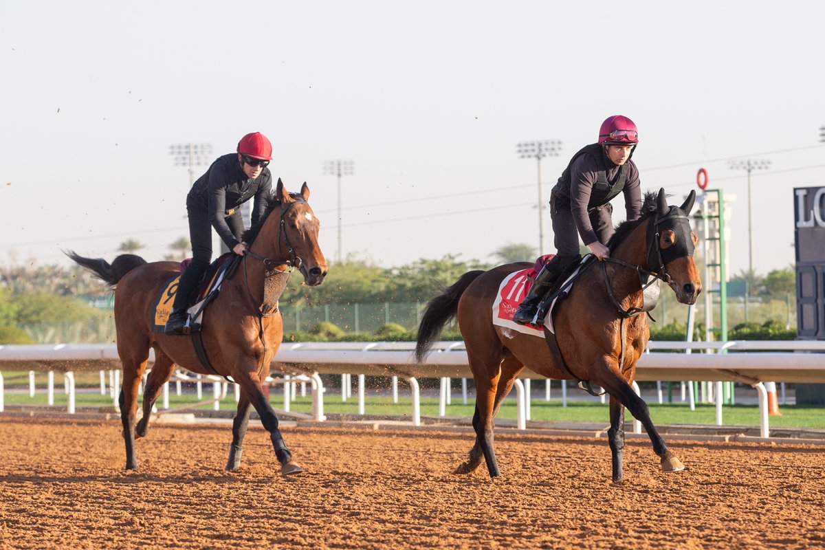 The Saudi Cup tweet media