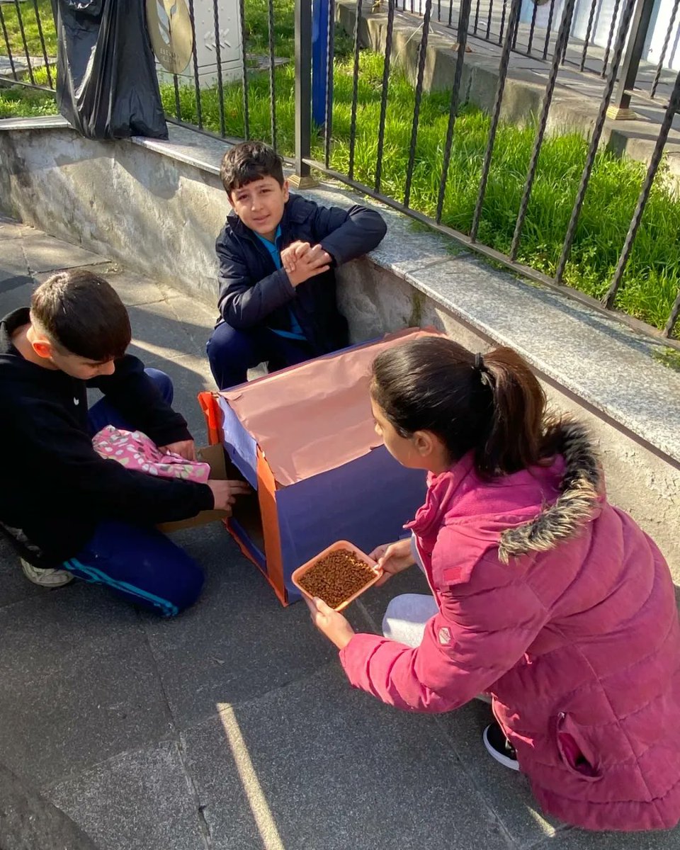 tugva_esenler's tweet photo. Vakıf okulu öğrencilerimizin yapmış olduğu kedi evleri yerlerini aldı 🌸 https://t.co/u23JQQKo9F