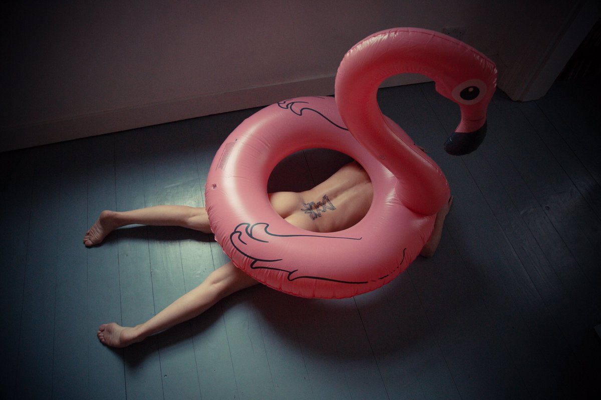 Vandergraph14's tweet photo. When flamingos attack… https://t.co/J6iSLpvTDc