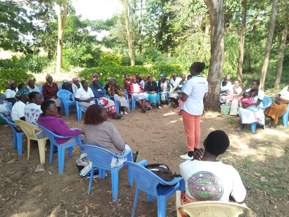 agrealafrica's tweet photo. The dedication and hard work of Agreal Africa's farmers cannot be overstated, especially as they prepare for the upcoming expo in Meru, Ruiri on 29th February 2024. Join them and reap the benefits too. #AgriUnity #GrowingWithFarmers https://t.co/GxTFVKxI8D