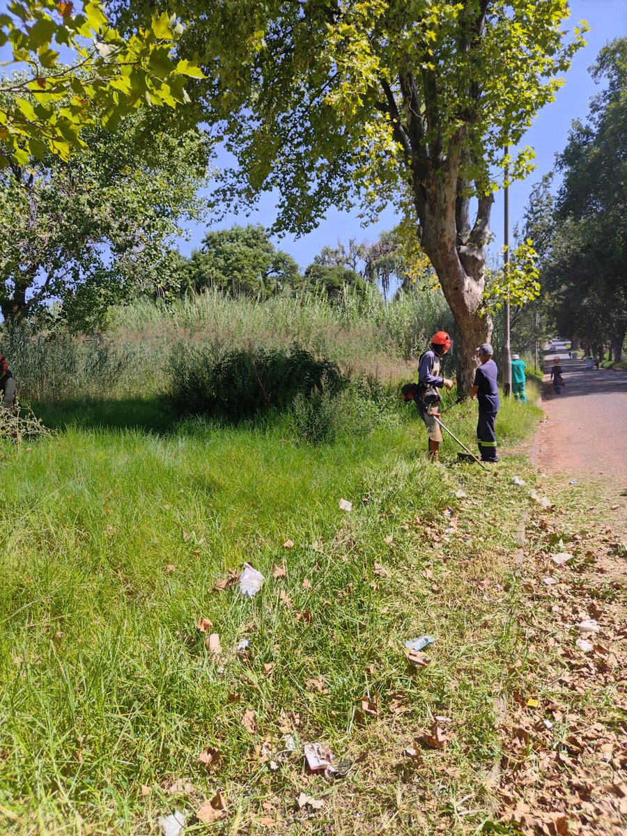 JoburgParksZoo's tweet photo. It's Day 3 of the #mayoralacceleratedservicedelivery blitz in Yeoville Park, Raleigh Street. The green teams are busy cutting grass, raking and litter-picking.
#jcpzatwork #JCPZServices #megablitz https://t.co/svCWrX5gYY