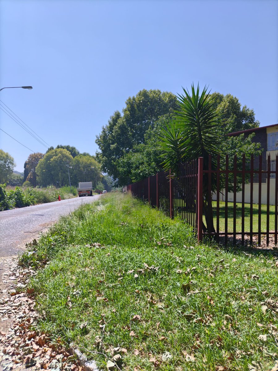 JoburgParksZoo's tweet photo. It's Day 3 of the #mayoralacceleratedservicedelivery blitz in Yeoville Park, Raleigh Street. The green teams are busy cutting grass, raking and litter-picking.
#jcpzatwork #JCPZServices #megablitz https://t.co/svCWrX5gYY