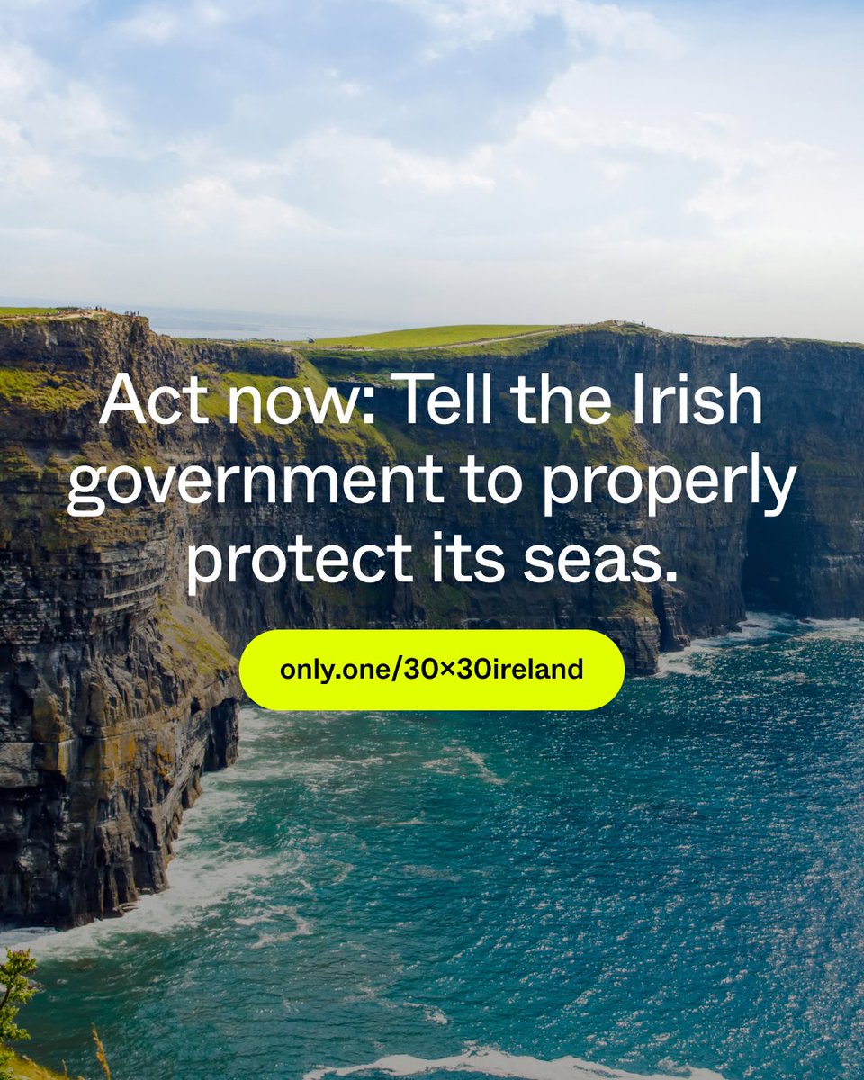 Fair Seas tweet media