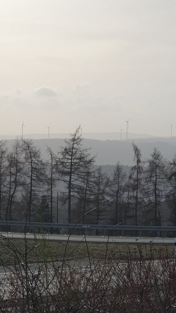 Andrej Reisin tweet media