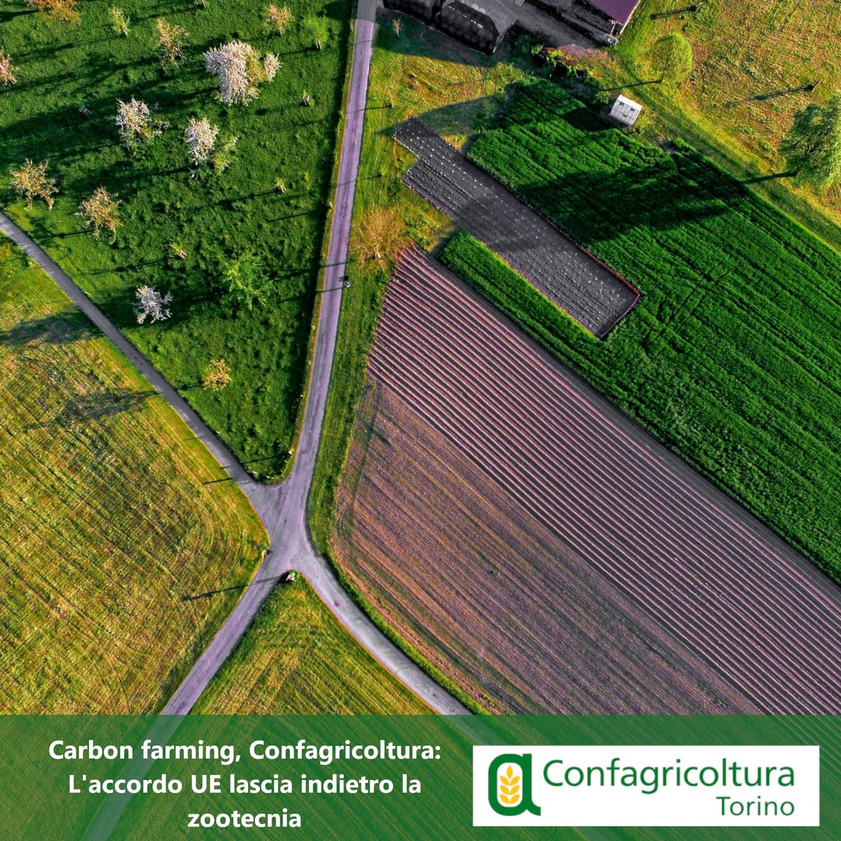 📌 Carbon farming, Confagricoltura: L'accordo UE lascia indietro la zootecnia
🔍 E' un passo avanti verso il riconoscimento del ruolo dell’agricoltura nella mitigazione dei cambiamenti climatici
☝️ L’accordo però soddisfa Confagricoltura solo in parte
📲 confagricolturatorino.it/comunicati.asp…
