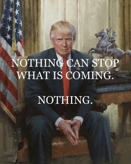 Theblanewood's tweet photo. Wow! I just watched Trump in SC with Ingram tonight, and the democrats are going to get #Trumpled  The best revenge is success! 💪🇺🇸 https://t.co/uPpjSrXgJz