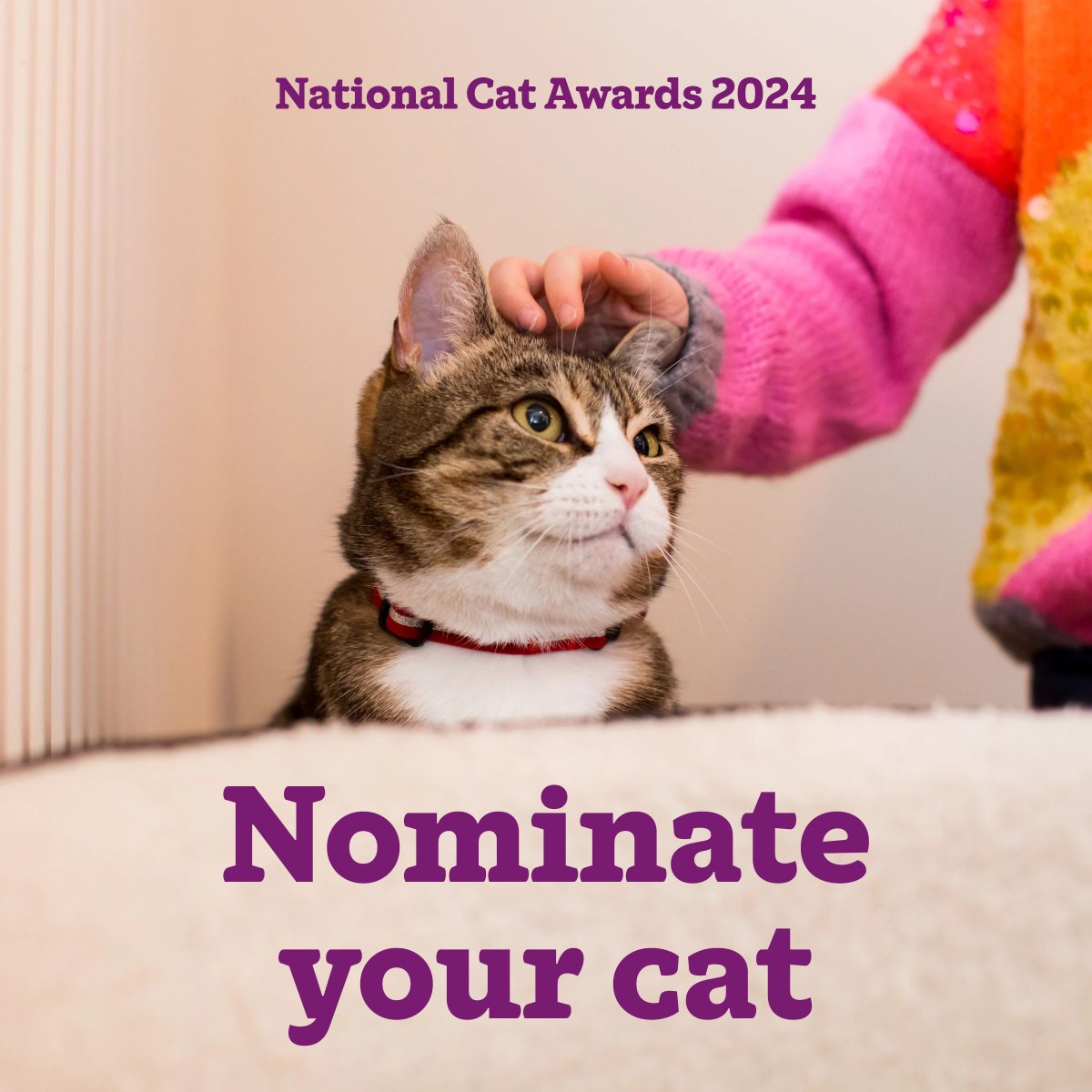 Celebrate your cat companion by entering them into the #NationalCatAwards! Has your cat miraculously survived against the odds, do they bring joy to people on social media, or maybe they've supported your family through a trying time? Nominate your cat: spr.ly/NCAsEntryX