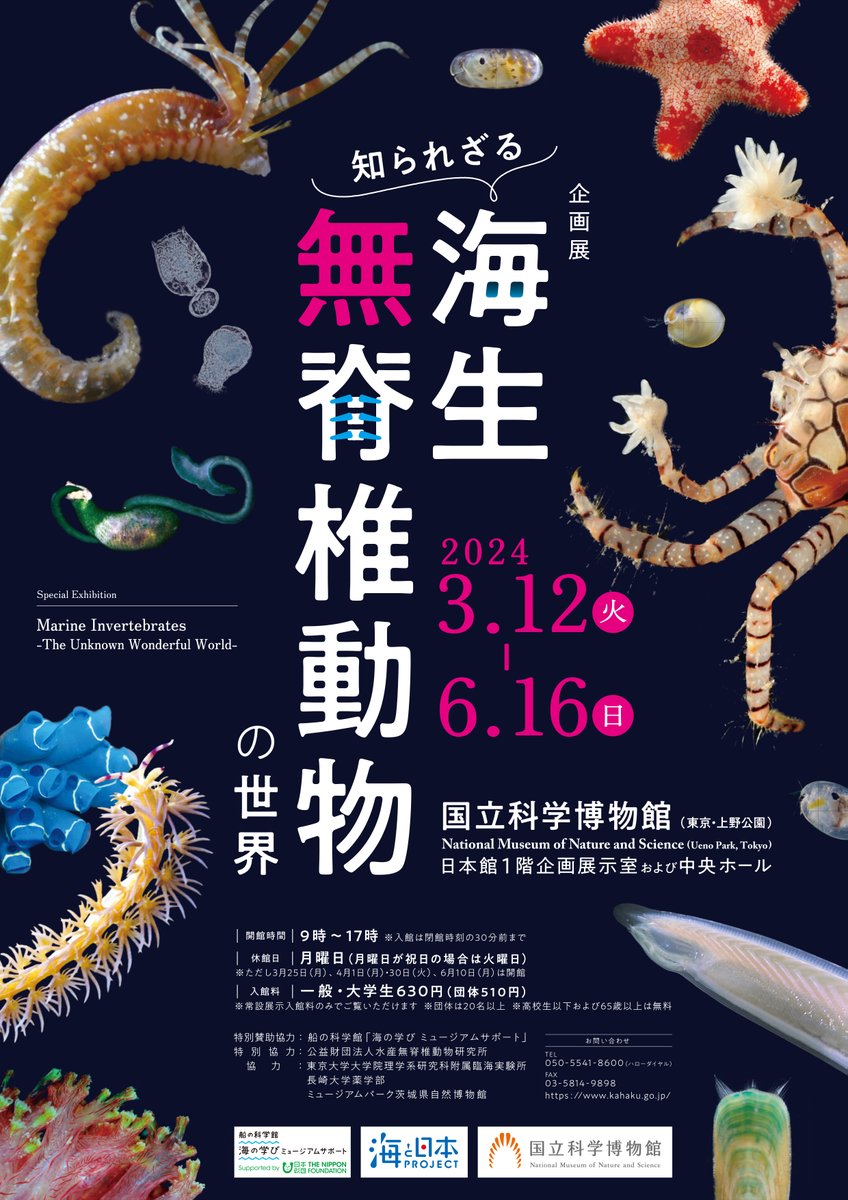 museum_kahaku's tweet photo. ◆開催予告◆

╭企画展━━━━━━━━╮
🪸知られざる
　海生無脊椎動物の世界🌊
╰━ｖ━━━━━━━━━╯
海にすむ“背骨を持たない”動物（無脊椎動物）の多様な世界の魅力に迫ります！お楽しみに🦀

#海生無脊椎
会期:2024/3/12㈫～6/16㈰
場所:#国立科学博物館
https://t.co/vQRKK1A9wi https://t.co/jv2N8qXDIa