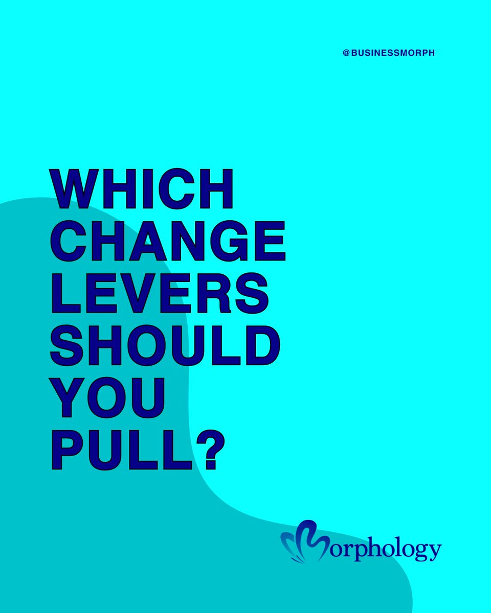 Deciding which change levers to pull is crucial. Morphology guides you in this process, aligning levers with your business goals for optimal outcomes.

Operational, cultural, or strategic - we've got you covered.

#ChangeManagement #Strategy #Leadership