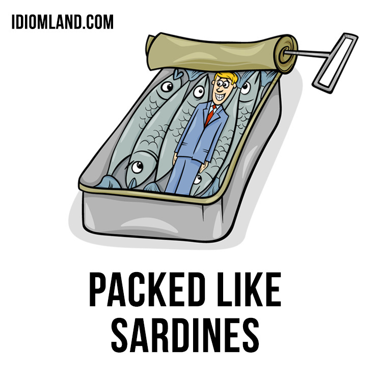 Idiom Land tweet media