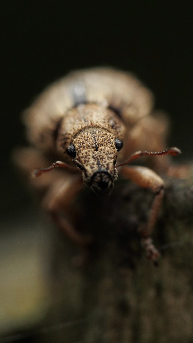 Gemma Louise tweet media