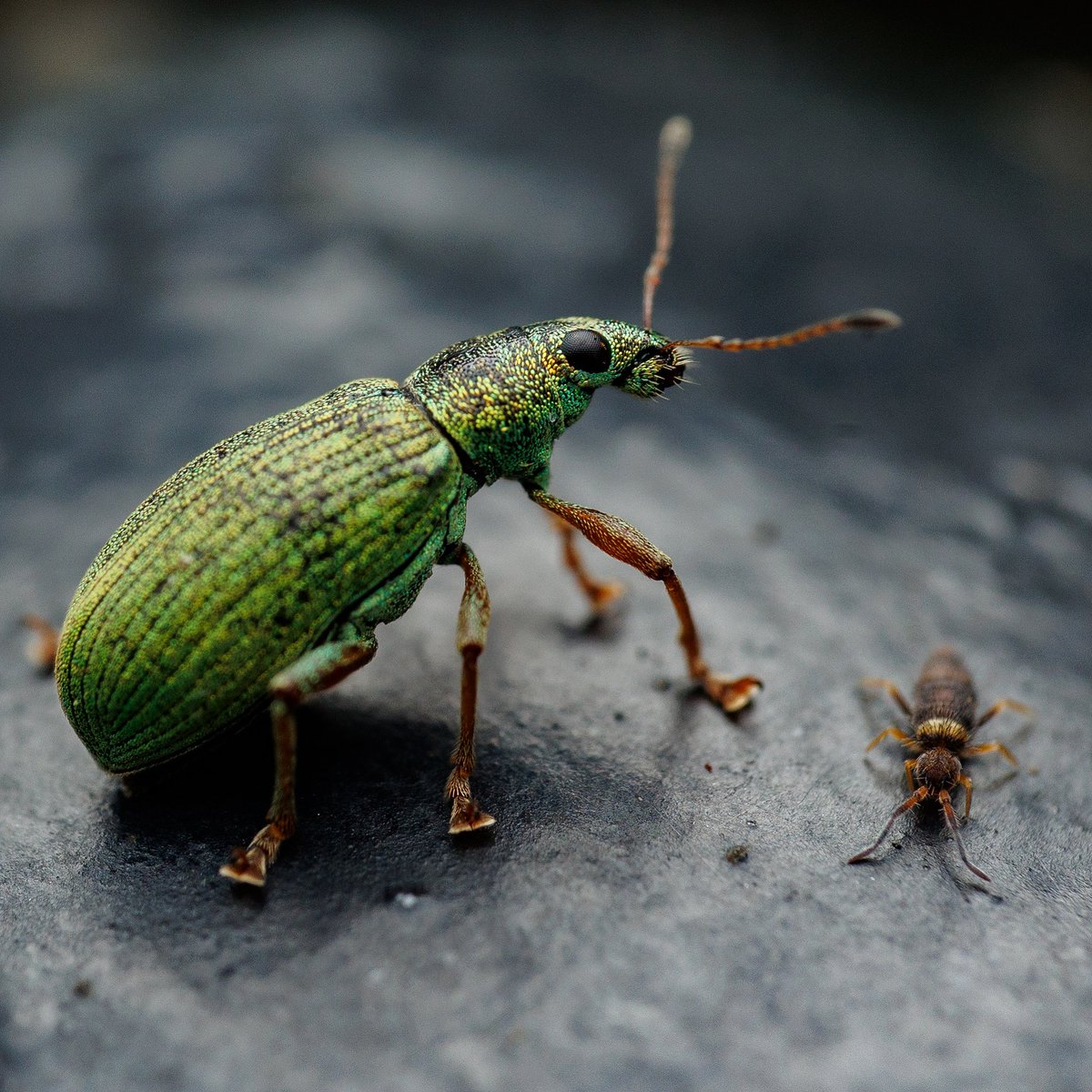 Gemma Louise tweet media