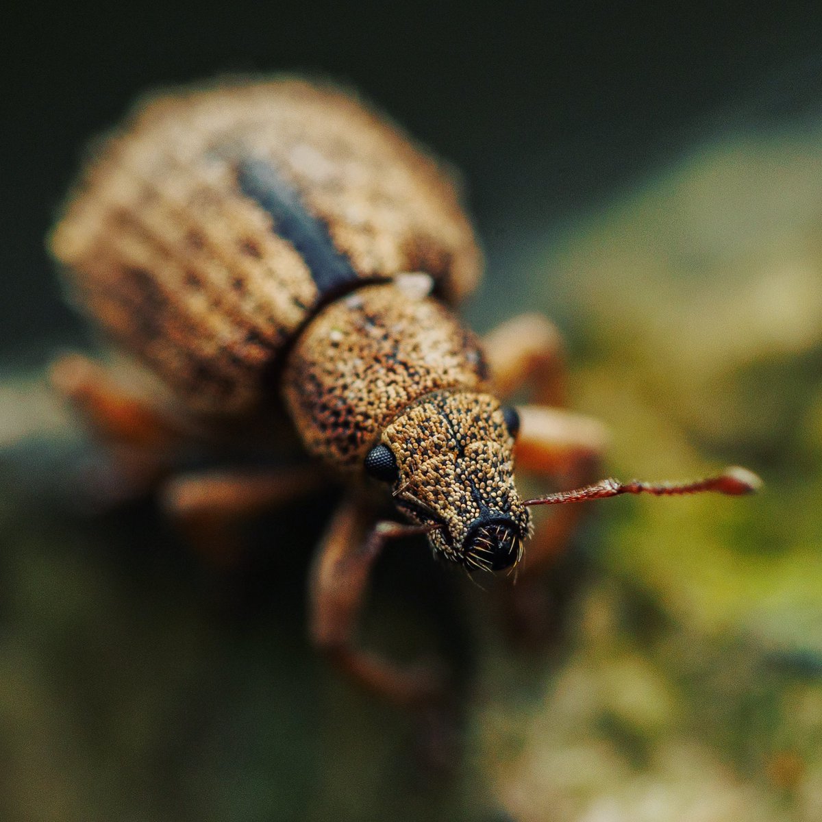 Gemma Louise tweet media