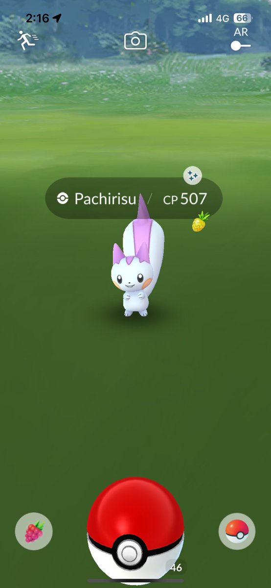 I’ve not played properly for like 2-3 years man I got the ticket gifted to me and it was a shiny I’m playing this game again 😭😭