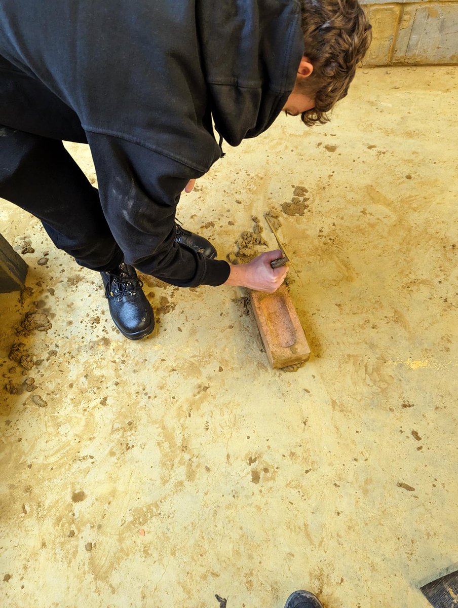 AP College tweet media