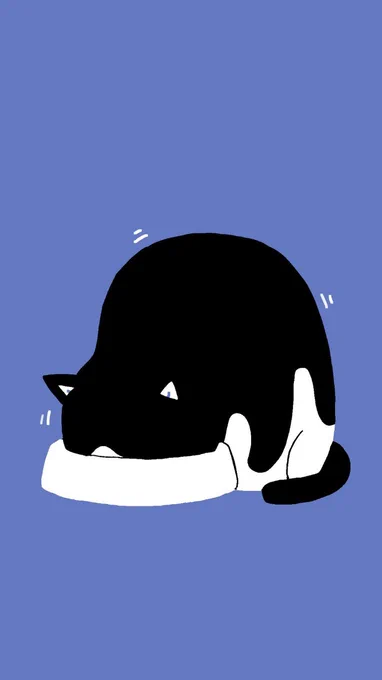 #粉蔵 #黒ヘイ 