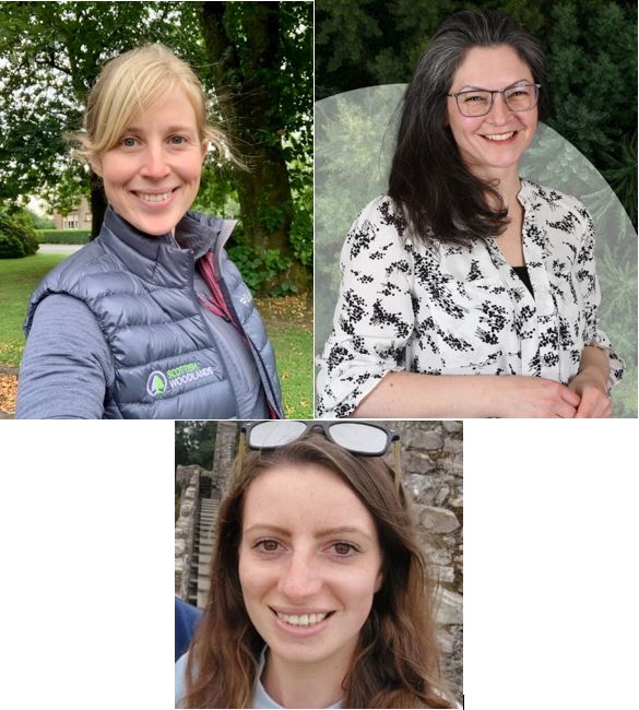 scotwoodlands's tweet photo. Three Scottish Woodlands employees have been shortlisted in the forestry and wood industry's premier awards. Emma Kerr, Jillian Kennedy and Megan Parker are among the finalists vying for the top prizes at the annual awards dinner, hosted by industry body @forestsandwood.  Read more here: https://t.co/yGqMtw9Rzb