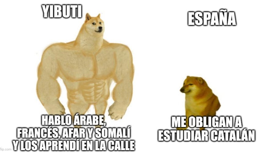 Guerra en la Universidad tweet media