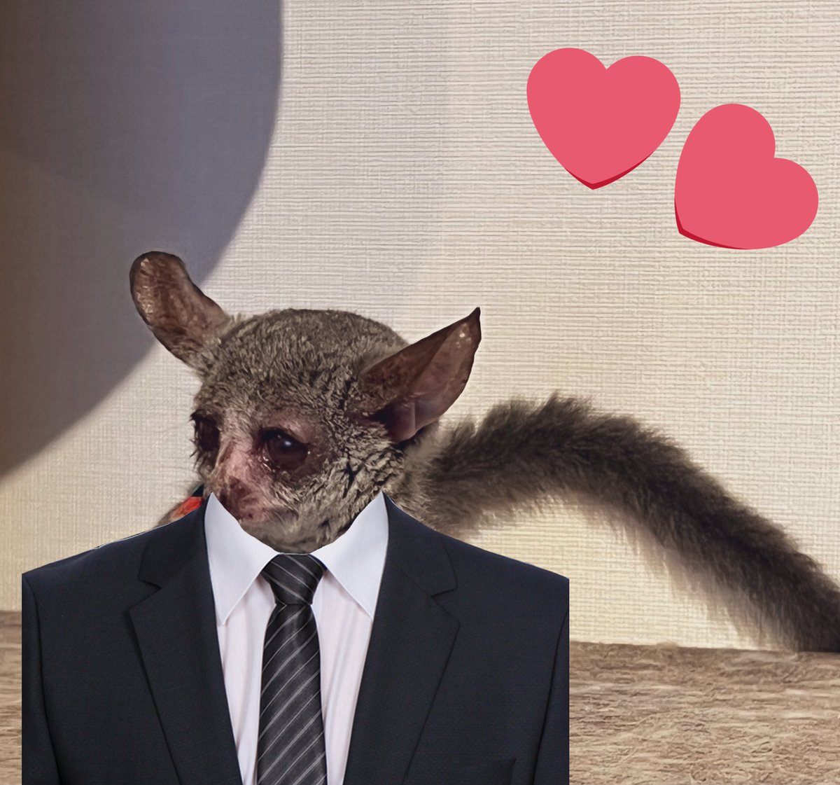Pekora monkey enjoyer tweet media