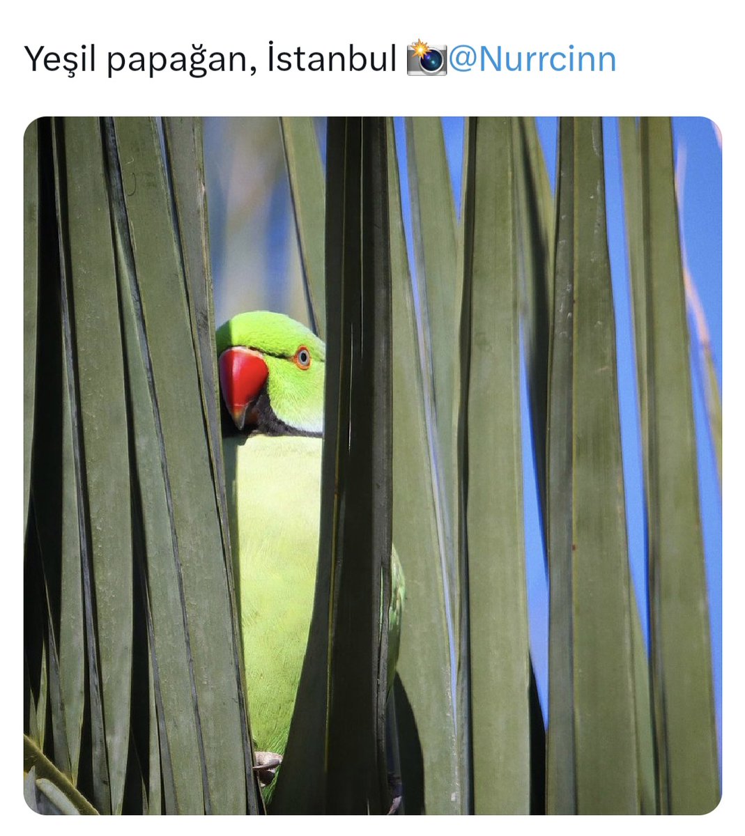 PapaganSay's tweet photo. 🔍Bilime meraklı vatandaşlar arıyoruz!

📊İlgilenenleri 6 soruluk anketimize bekleriz. https://t.co/MOcCXXnKBl