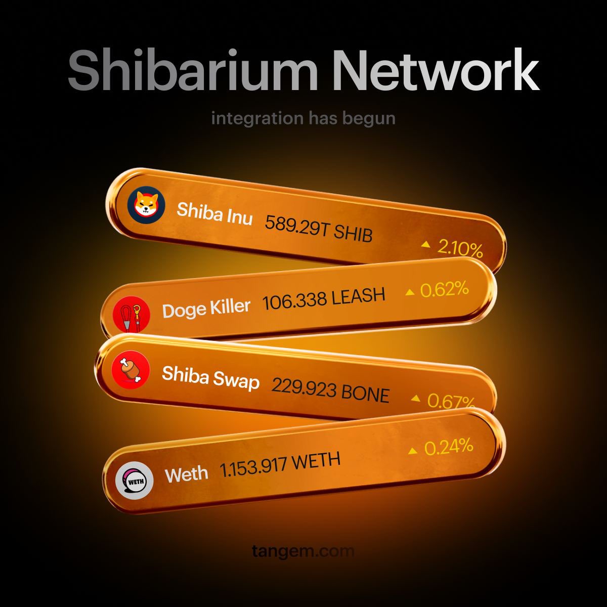 Tangem's tweet photo. Hey there! Just dropping in to let you know that we've started integrating the Shibarium Network. 

Exciting times ahead! 🐕 #Shibarium https://t.co/CrCRnq3hdt