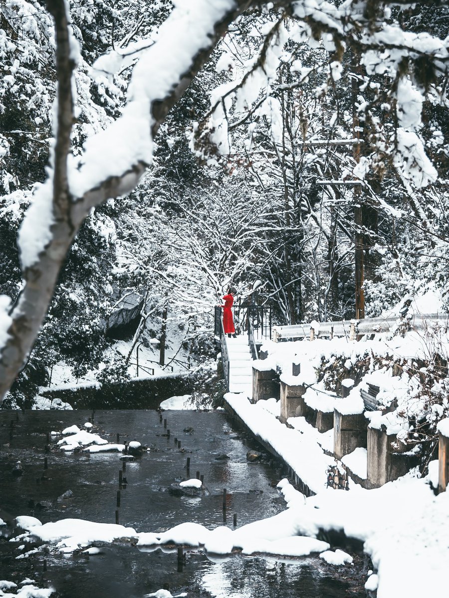 3939_Miku's tweet photo. 雪ぽつん。 https://t.co/pkzyhmsMzp