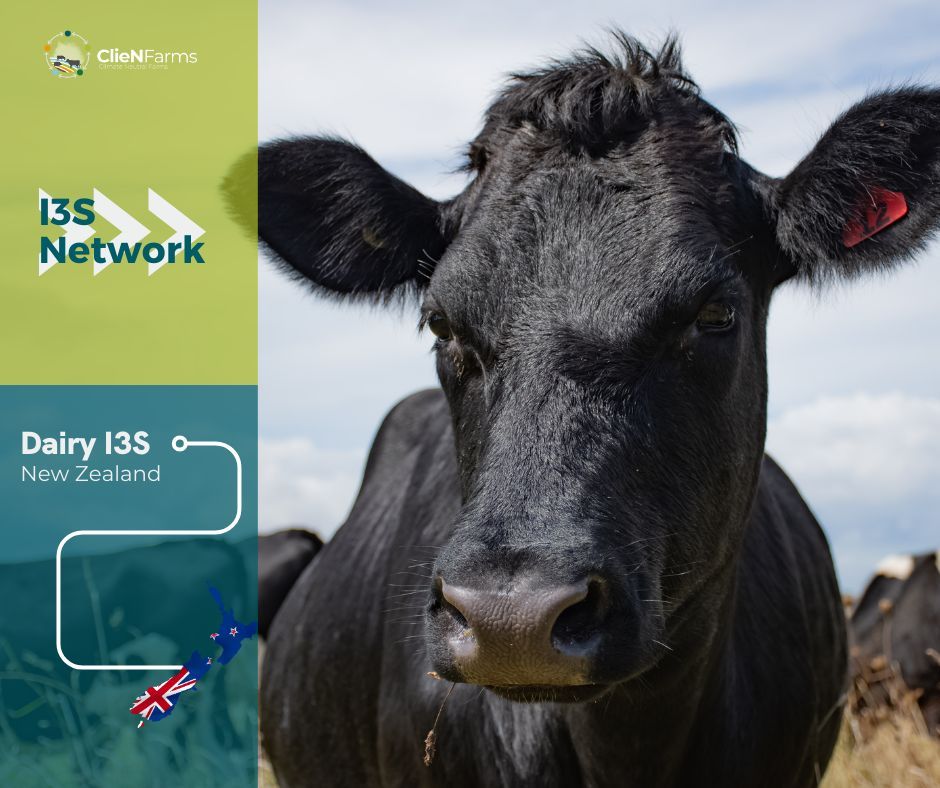 🐄 🐄 The #dairy New Zealand aims to research and demonstrate improved pasture-based dairy farming system in Southern New Zealand. Find out more 👉 buff.ly/457Vkg0