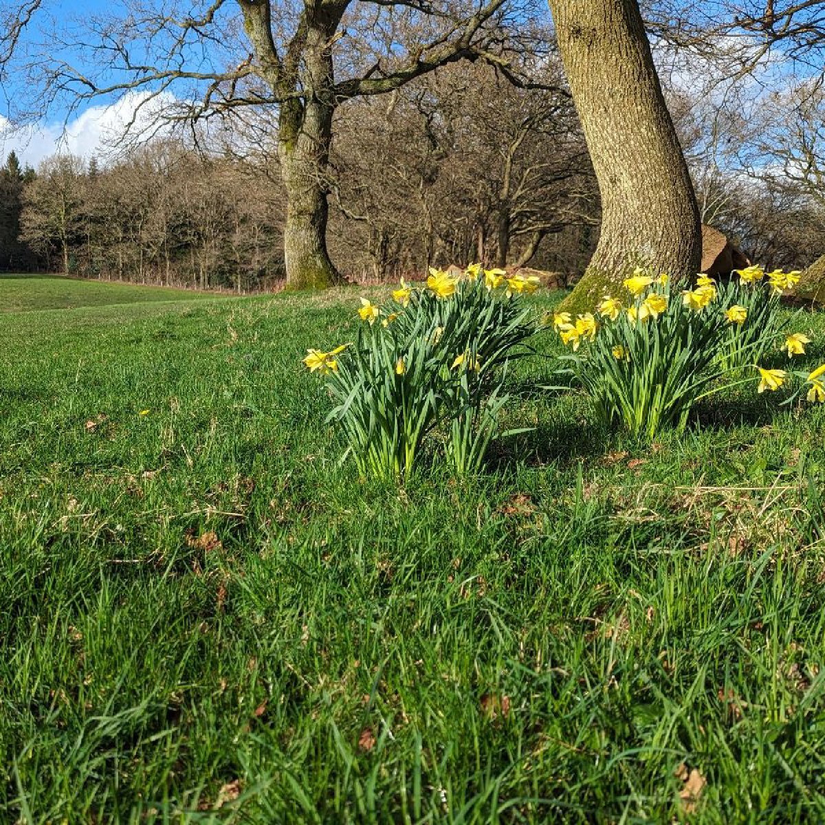 Leedam Natural Burial Grounds tweet media