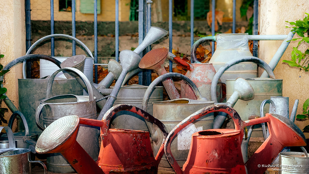 In #AlphabetChallenge #WeekH it's H for #hydration. One of the most important elements of life and so our existance.

© #About_Pixels / #garden #winery / #JardinRemarquable at #ChateauValJoanis in #Pertuis  

 flic.kr/p/po9J8q