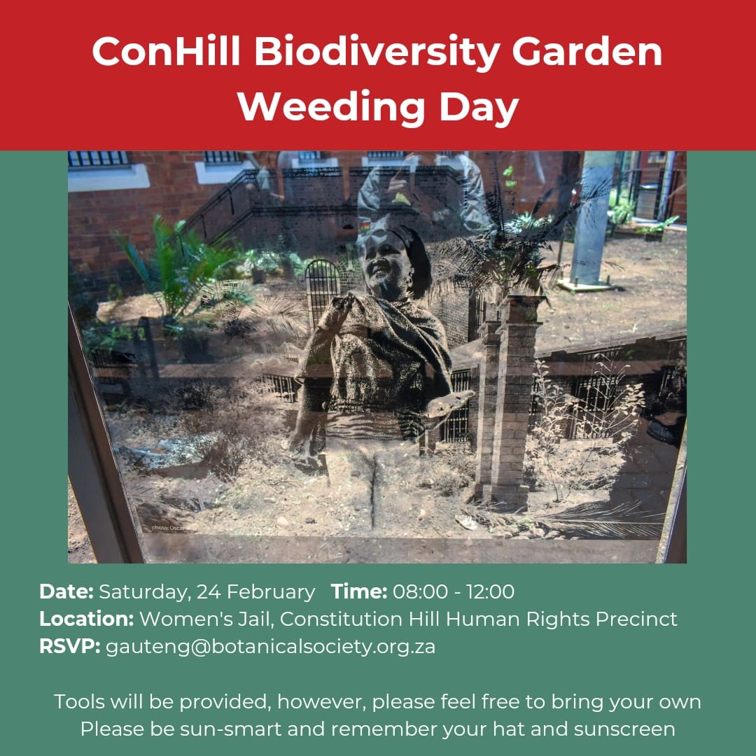 Join us this Saturday🌱