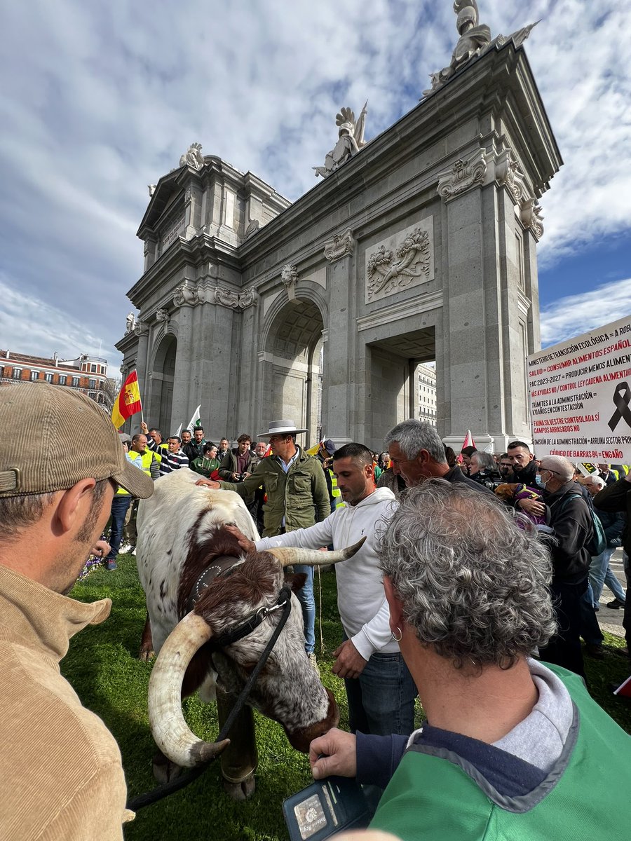 MAngelSilva's tweet photo. VIVA LA ESPAÑA RURAL 💚 https://t.co/QEcgEaWjd6