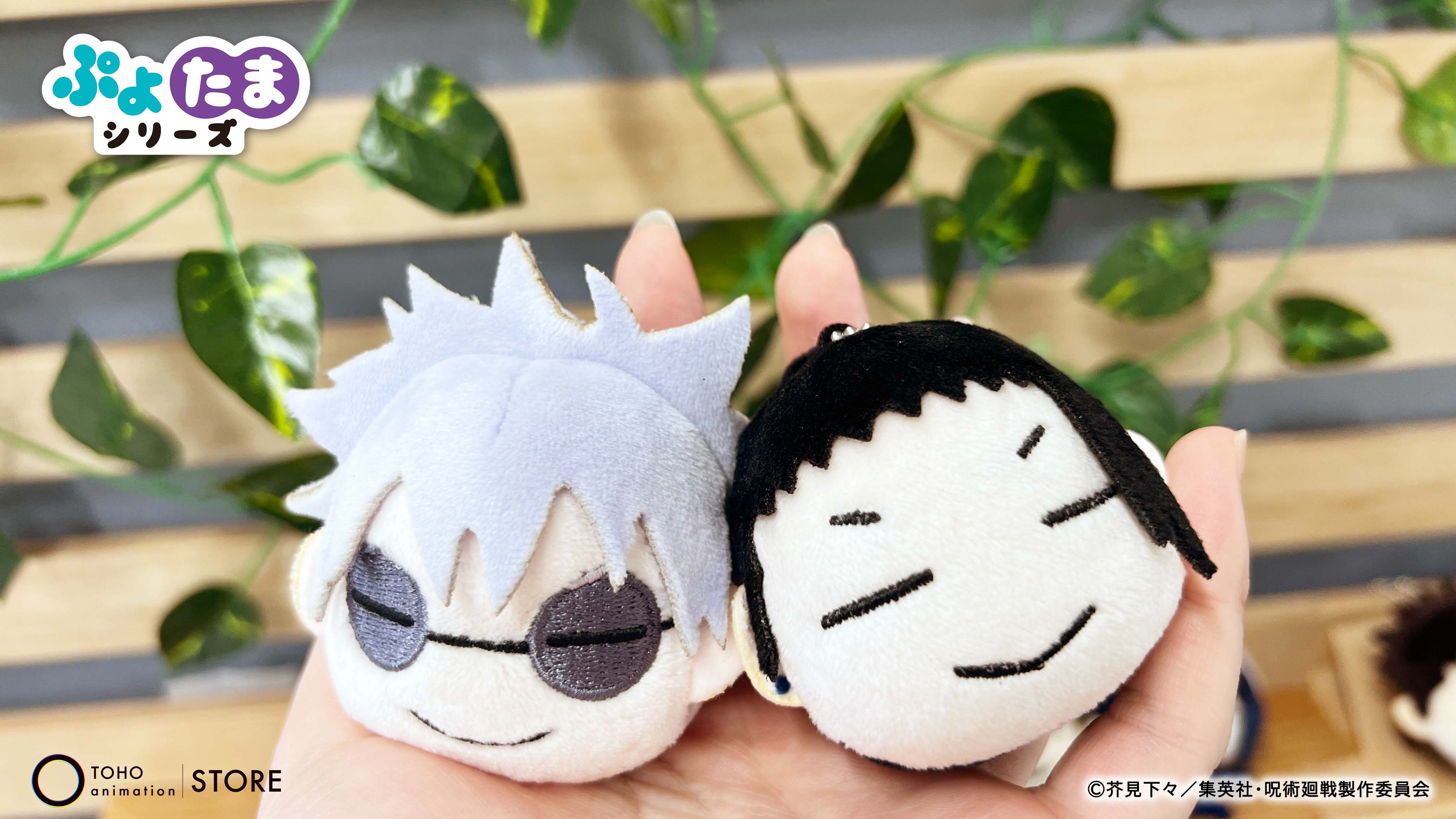 TOHO animation STORE on X: 