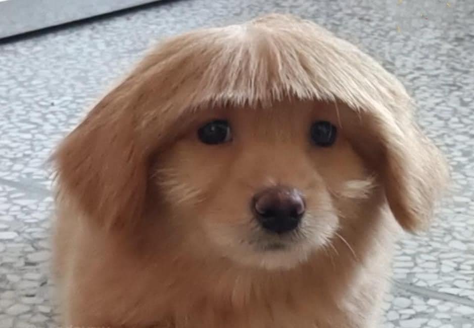 เอ็มหรอลูก