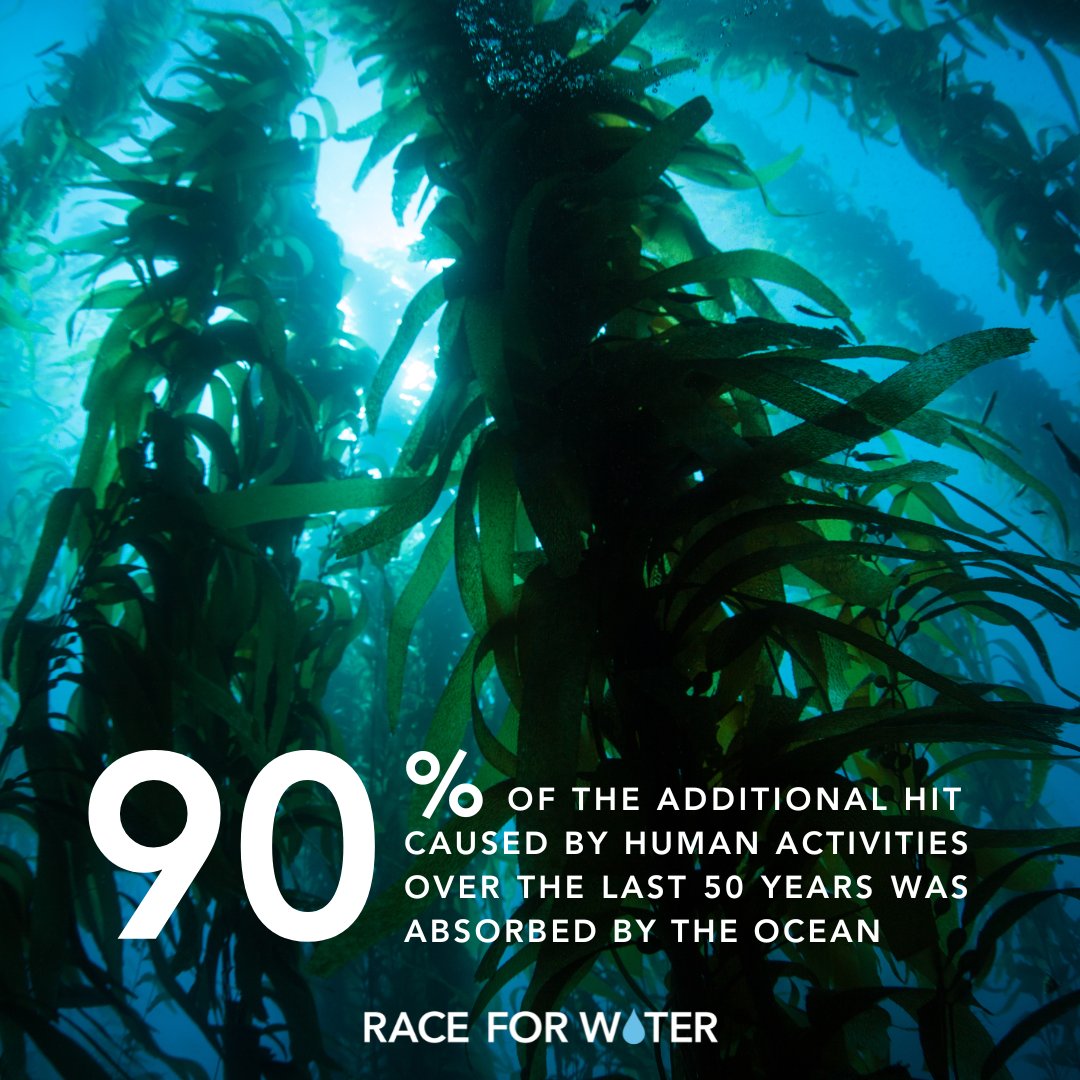 🌊🔥 The ocean temperature rise since the 1960s is obvious, with a significant increase rate of around 450% since records began. 😰

This worrying trend can disrupt marine ecosystems, cause coral bleaching and contribute to extreme weather events. 🐟🪸