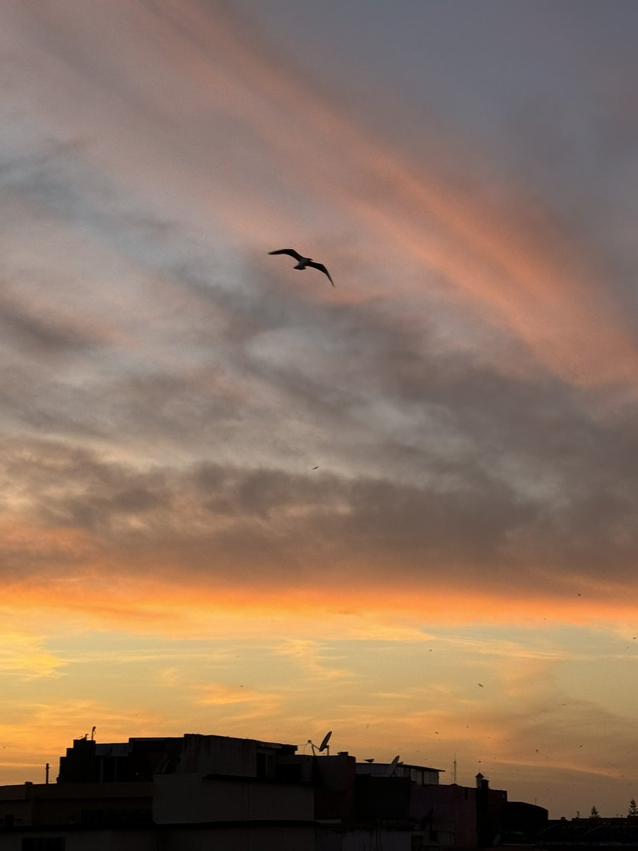 Essaouira 2024