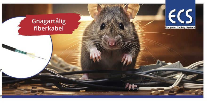 DataNovaService's tweet photo. Gnagare kan ställa till stora problem för kommunikationen. Behöver man installera fiberkabel i mark, grunder under hus, schakt etc. Välj en stålarmerad fiberkabel som står emot gnagare.
Armerad med korrugerat stål gnagarsäker.
#detskabarafungera #datanovaservicepoint #ecs https://t.co/liM3MtroC7