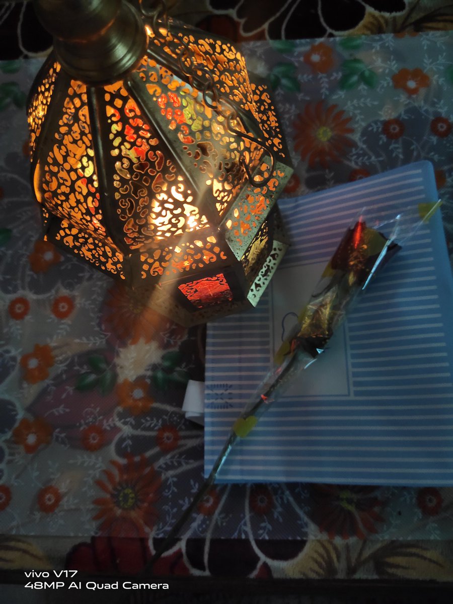 Love and nature move together.

#फrah #Farahnaseem #love #life #lamp