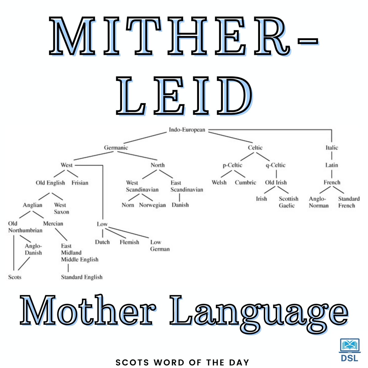 It's #InternationalMotherLanguageDay, so what better time to reshare this excellent #Scots Word of the Week written by Professor Jeremy Smith, all aboot the mither-leid! 👇🏴󠁧󠁢󠁳󠁣󠁴󠁿 heraldscotland.com/news/19096429.….