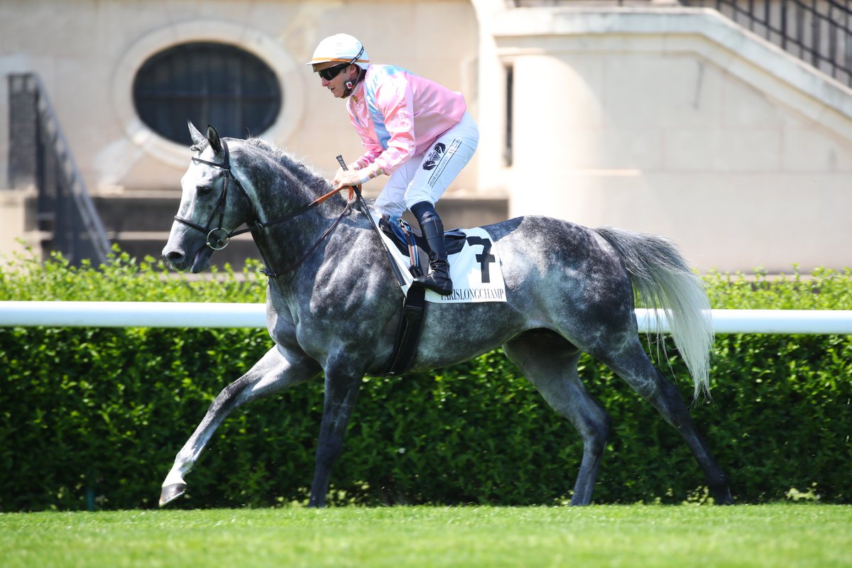 It will keep going on Saturday at Riyadh 🇸🇦 : ▪️ King Gold in the Saudi National Bank 1351 Turf Sprint (Gr.2) ▪️Al Nayyir, Big Call and Skazino in the @LonginesEq Red Sea Turf Handicap (Gr.3) #BreedinFrance #TraininFrance