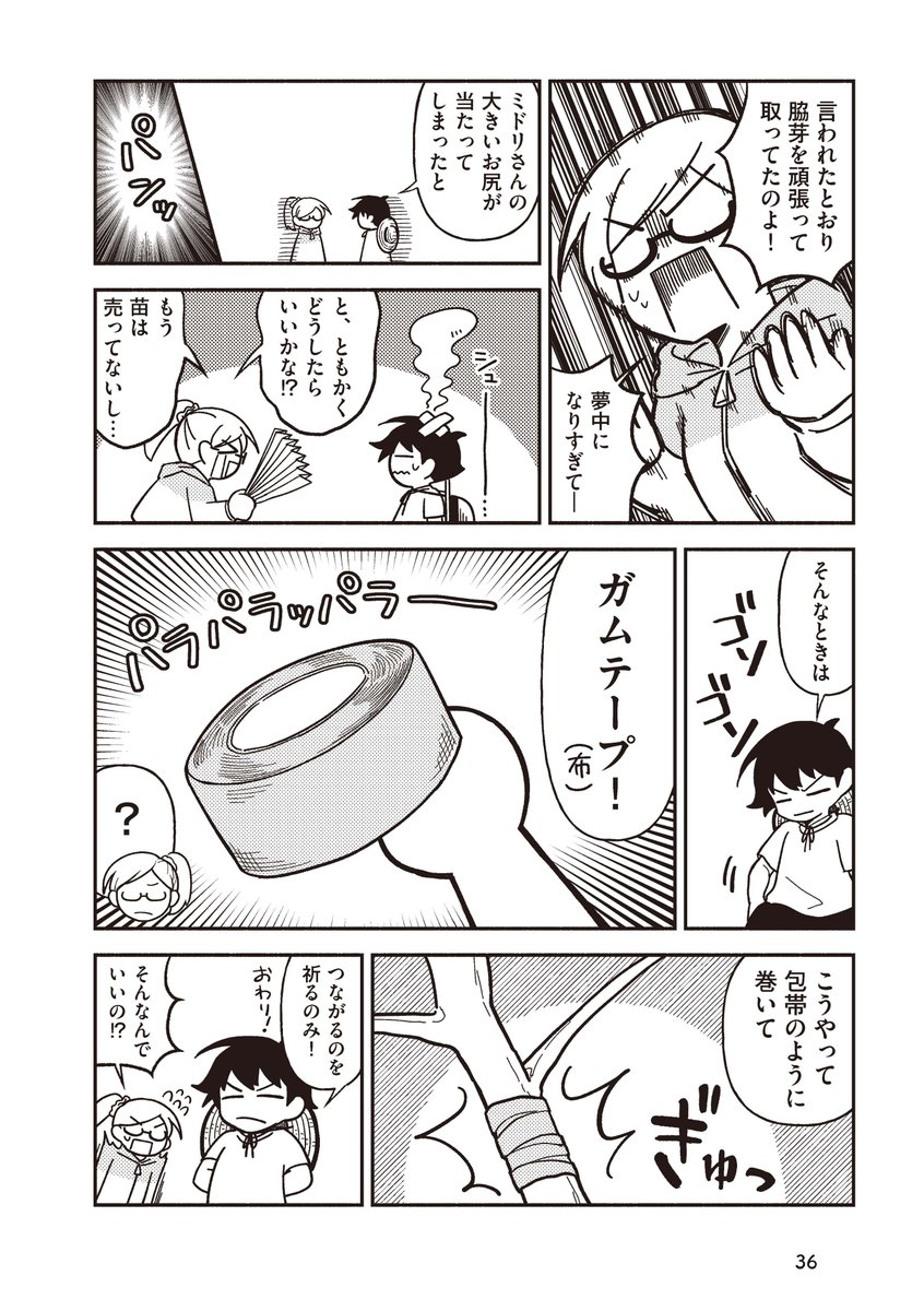 まともに家庭菜園出来ない女子がトマトを収穫出来るようになるまでの話② 