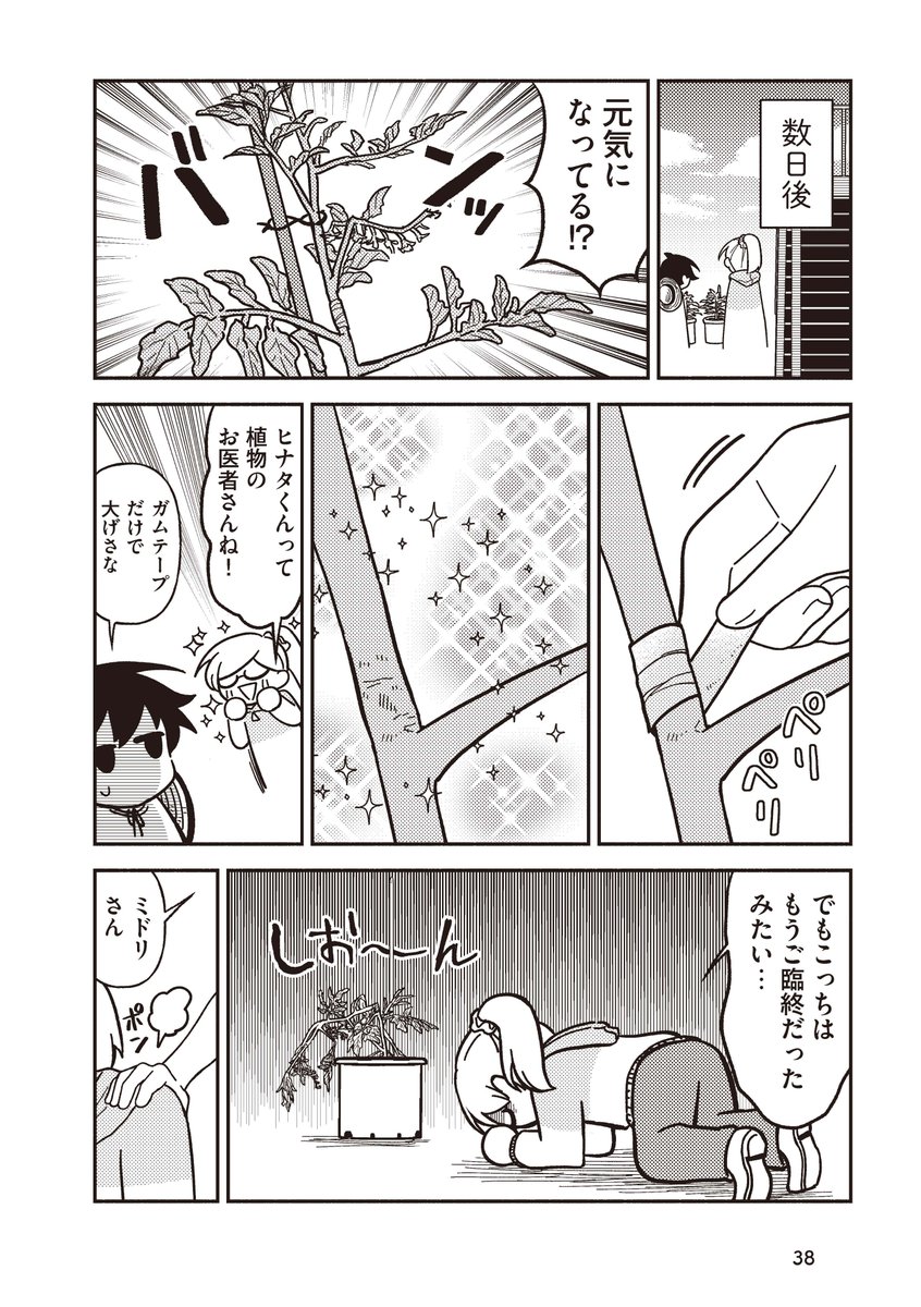 まともに家庭菜園出来ない女子がトマトを収穫出来るようになるまでの話③ 