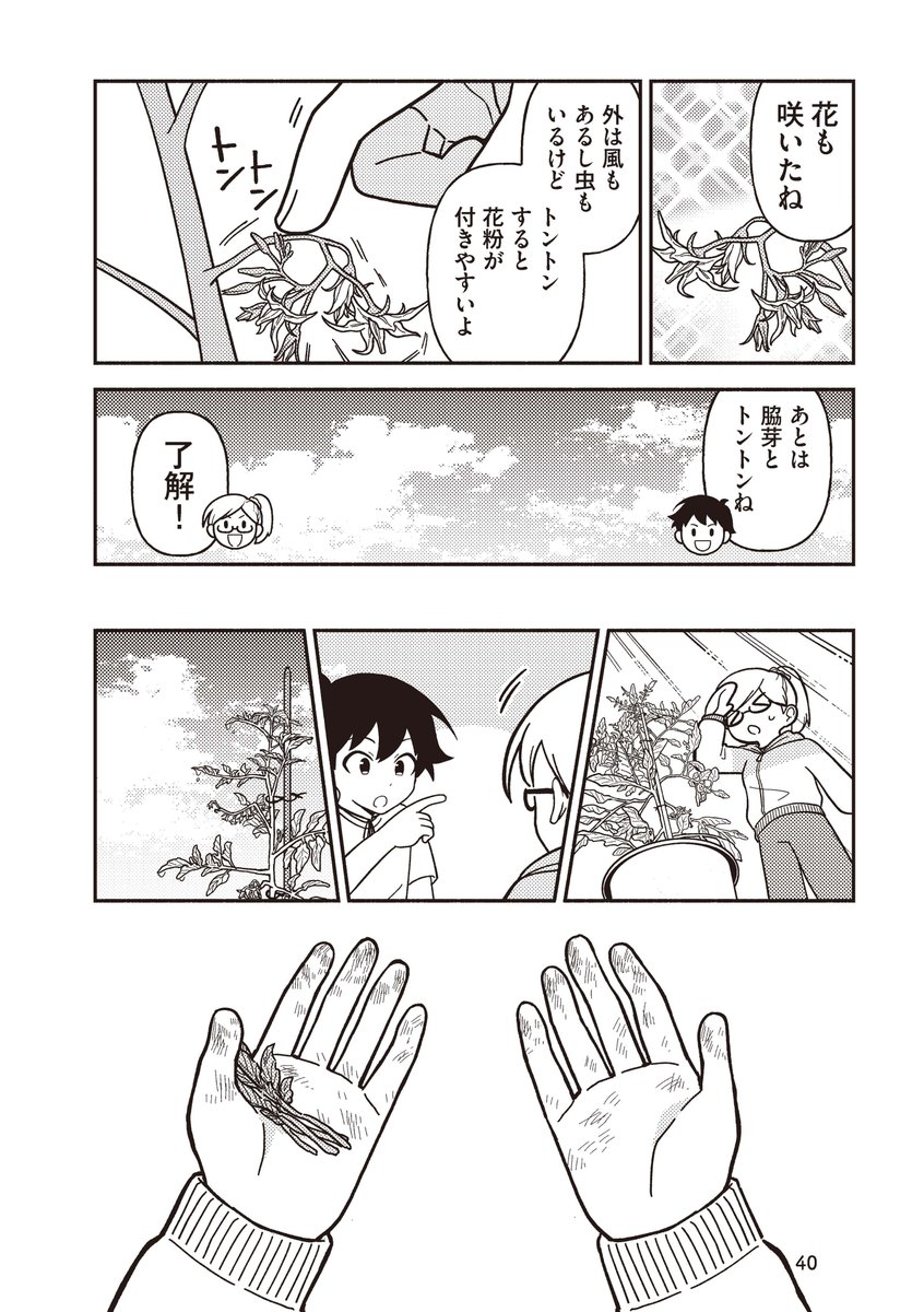 まともに家庭菜園出来ない女子がトマトを収穫出来るようになるまでの話③ 