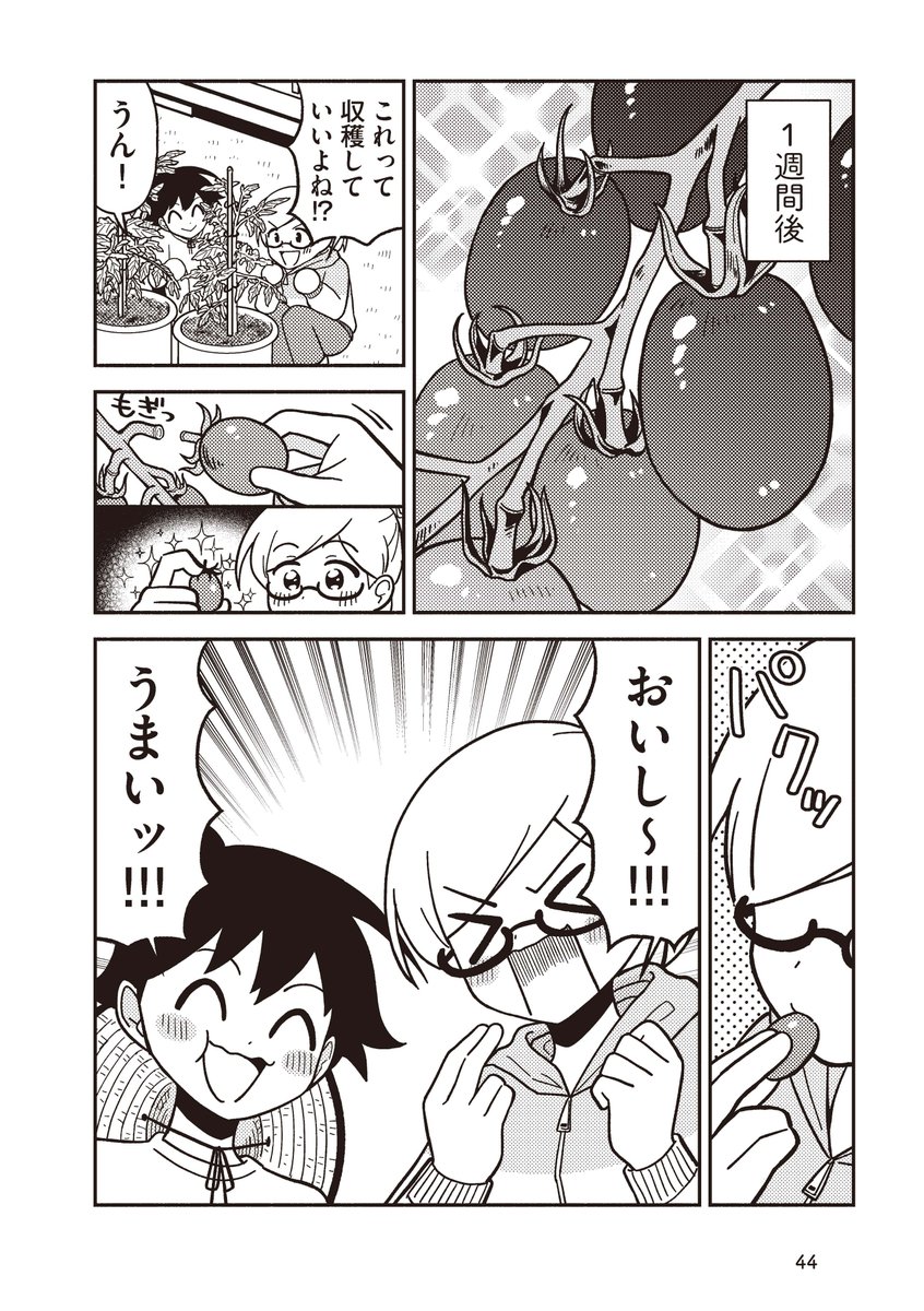 まともに家庭菜園出来ない女子がトマトを収穫出来るようになるまでの話④ 