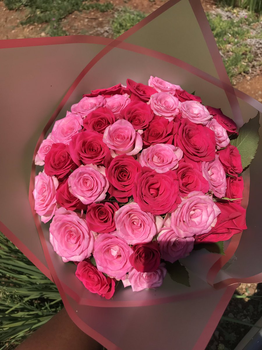 TenRosesflorist's tweet photo. F1- R550
F2- R500
F3- R550
#tenroses #love #PinkBirthday #whiterose #pinkroses #pretoriaflorist #LoveIsBlind https://t.co/vbleMhIEza