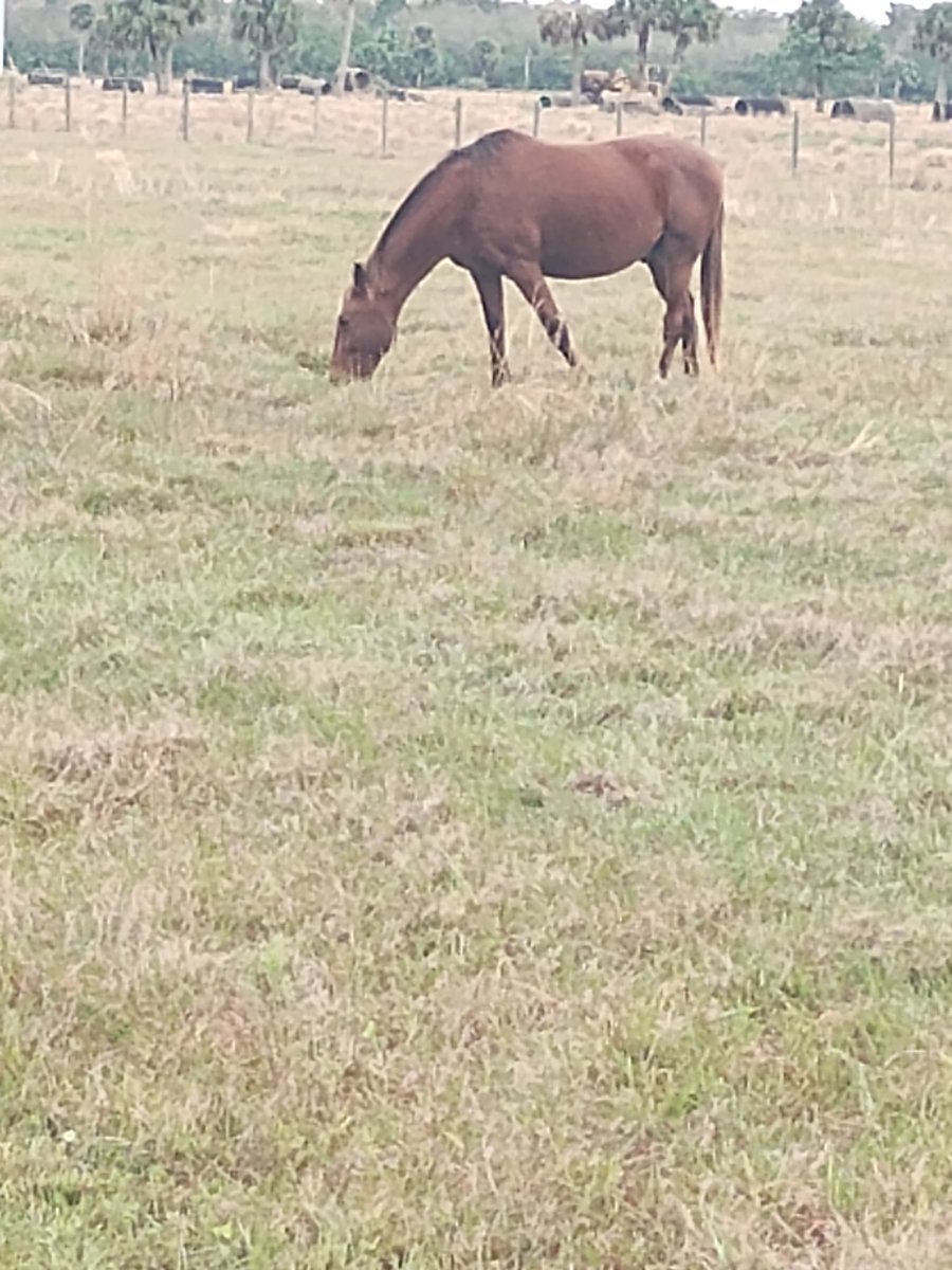 Gary Mathis tweet media